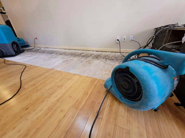 Professional Water Damage Repair technician working in Clark, PA